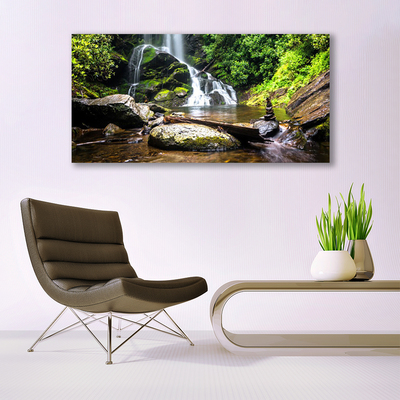 Photo sur toile Cascade forêt pierre nature brun vert blanc