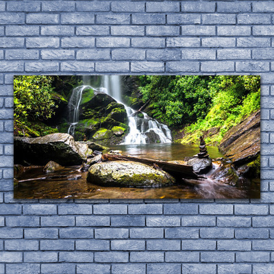 Photo sur toile Cascade forêt pierre nature brun vert blanc