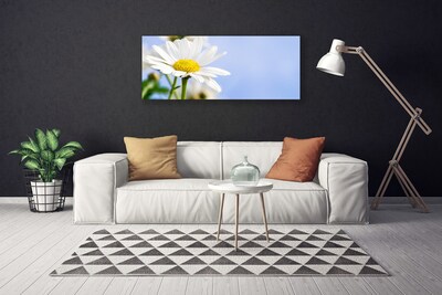 Photo sur toile Marguerite floral jaune blanc