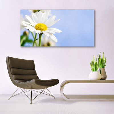 Photo sur toile Marguerite floral jaune blanc