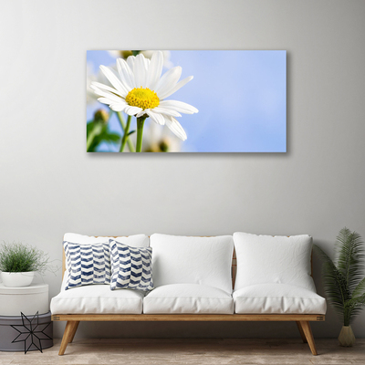 Photo sur toile Marguerite floral jaune blanc