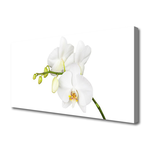 Photo sur toile Fleurs floral blanc