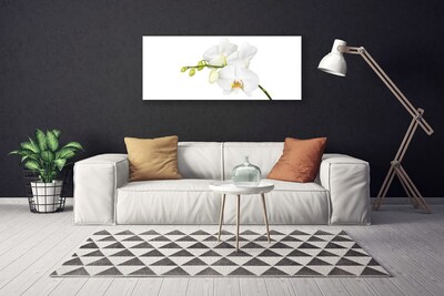 Photo sur toile Fleurs floral blanc