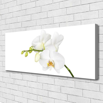 Photo sur toile Fleurs floral blanc