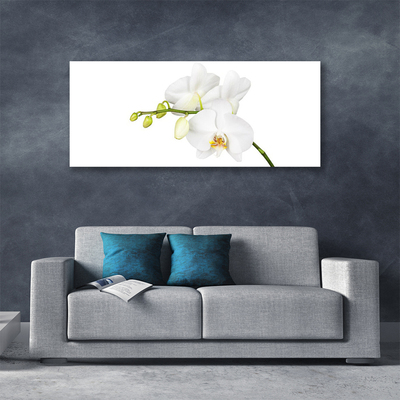 Photo sur toile Fleurs floral blanc