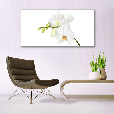 Photo sur toile Fleurs floral blanc