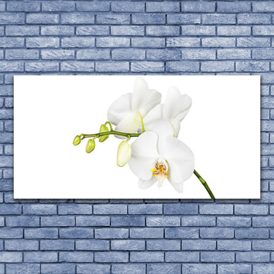 Photo sur toile Fleurs floral blanc