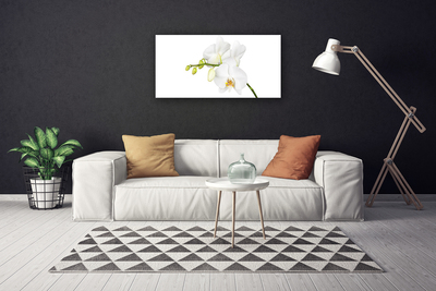 Photo sur toile Fleurs floral blanc