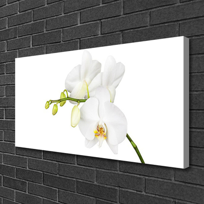 Photo sur toile Fleurs floral blanc