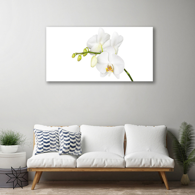 Photo sur toile Fleurs floral blanc