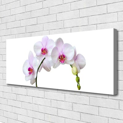 Photo sur toile Fleurs floral blanc rose