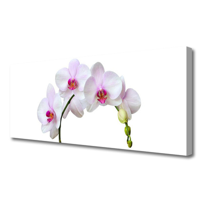 Photo sur toile Fleurs floral blanc rose