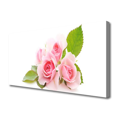 Photo sur toile Roses floral rose