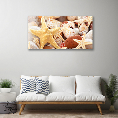 Photo sur toile Coquilles étoile de mer art jaune blanc brun