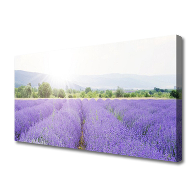 Photo sur toile Fleurs prairie nature violet