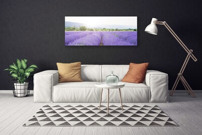 Photo sur toile Fleurs prairie nature violet