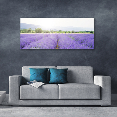 Photo sur toile Fleurs prairie nature violet