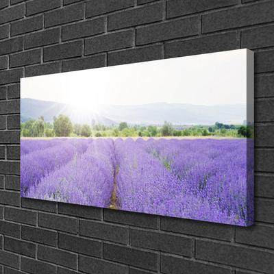 Photo sur toile Fleurs prairie nature violet