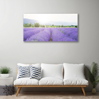 Photo sur toile Fleurs prairie nature violet