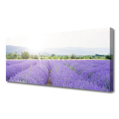 Photo sur toile Fleurs prairie nature violet