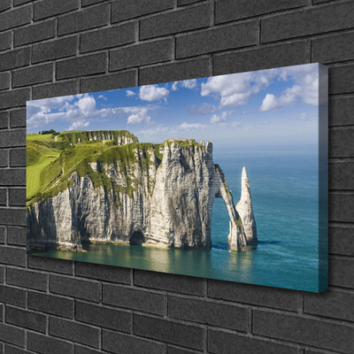 Photo sur toile Mer rock paysage vert gris bleu