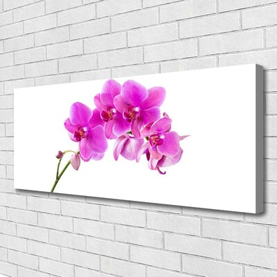 Photo sur toile Fleurs floral rose