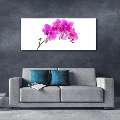 Photo sur toile Fleurs floral rose