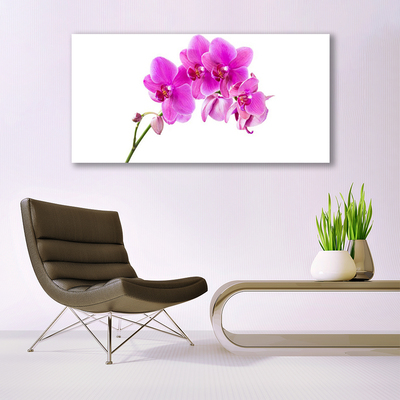 Photo sur toile Fleurs floral rose