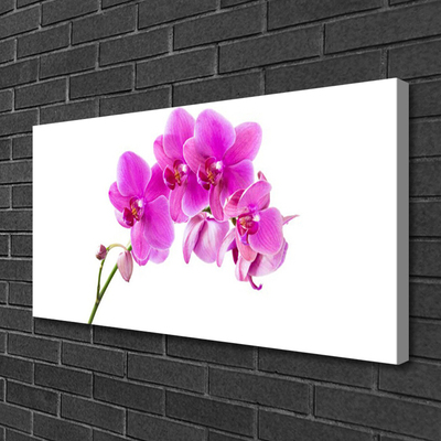 Photo sur toile Fleurs floral rose