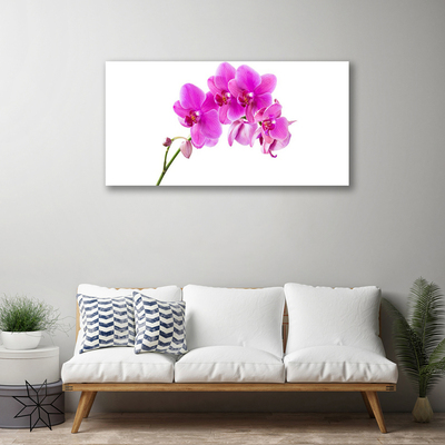 Photo sur toile Fleurs floral rose