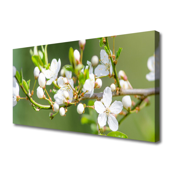 Photo sur toile Branches fleurs floral vert blanc