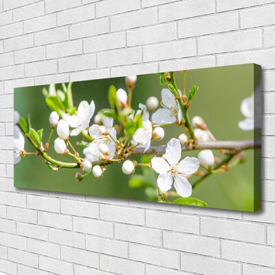 Photo sur toile Branches fleurs floral vert blanc