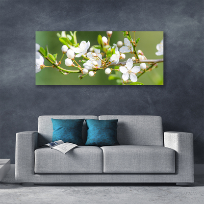 Photo sur toile Branches fleurs floral vert blanc