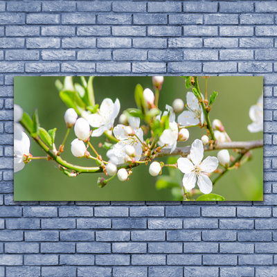 Photo sur toile Branches fleurs floral vert blanc