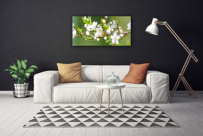 Photo sur toile Branches fleurs floral vert blanc