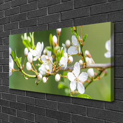 Photo sur toile Branches fleurs floral vert blanc