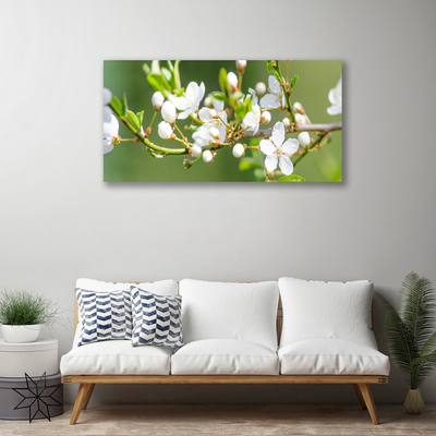 Photo sur toile Branches fleurs floral vert blanc