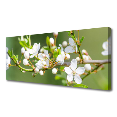 Photo sur toile Branches fleurs floral vert blanc