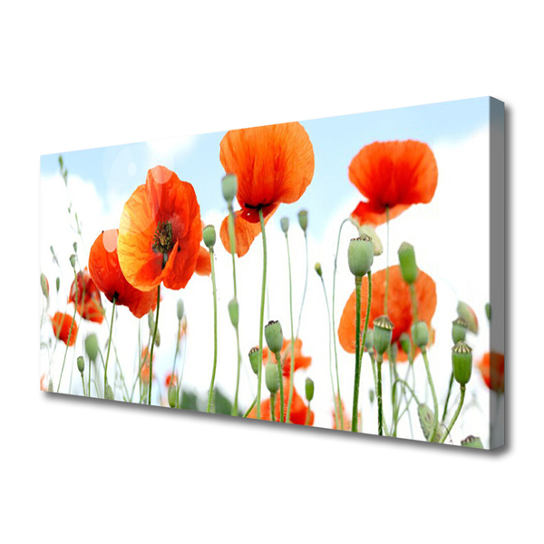 Photo sur toile Coquelicots floral rouge