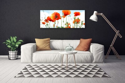 Photo sur toile Coquelicots floral rouge