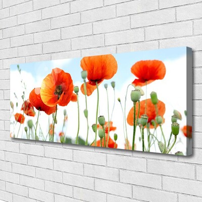 Photo sur toile Coquelicots floral rouge