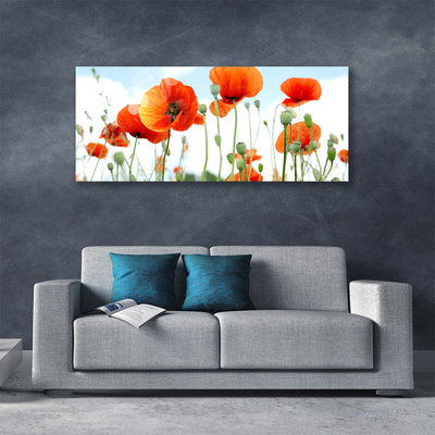 Photo sur toile Coquelicots floral rouge