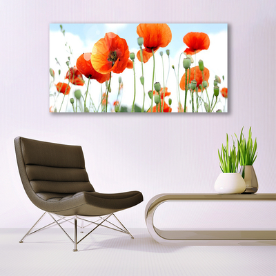 Photo sur toile Coquelicots floral rouge