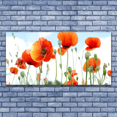 Photo sur toile Coquelicots floral rouge