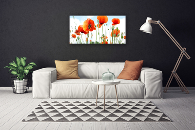 Photo sur toile Coquelicots floral rouge