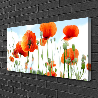 Photo sur toile Coquelicots floral rouge