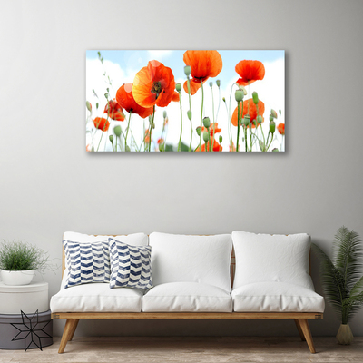 Photo sur toile Coquelicots floral rouge