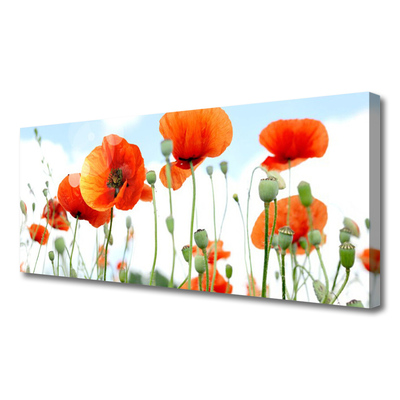 Photo sur toile Coquelicots floral rouge