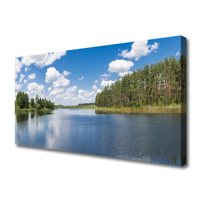 Photo sur toile Forêt lac paysage vert bleu