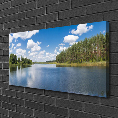 Photo sur toile Forêt lac paysage vert bleu